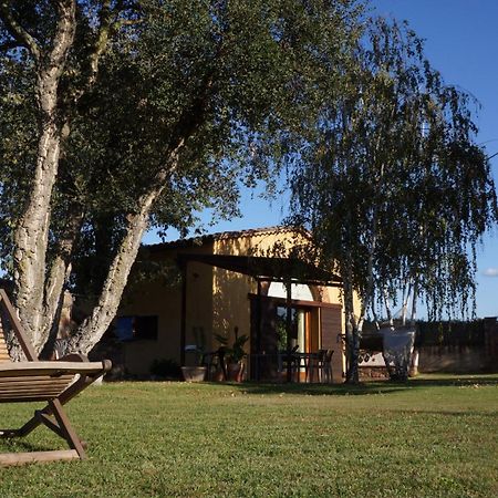 Masia Can Bachs Sant Pere de Vilamajor Dış mekan fotoğraf