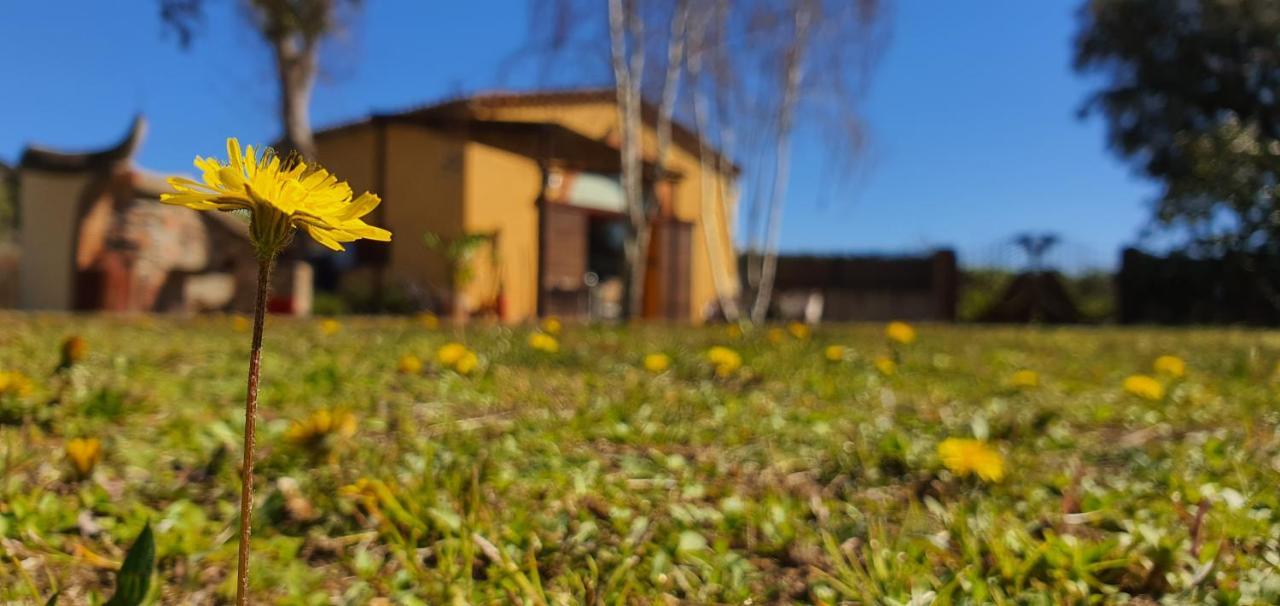 Masia Can Bachs Sant Pere de Vilamajor Dış mekan fotoğraf